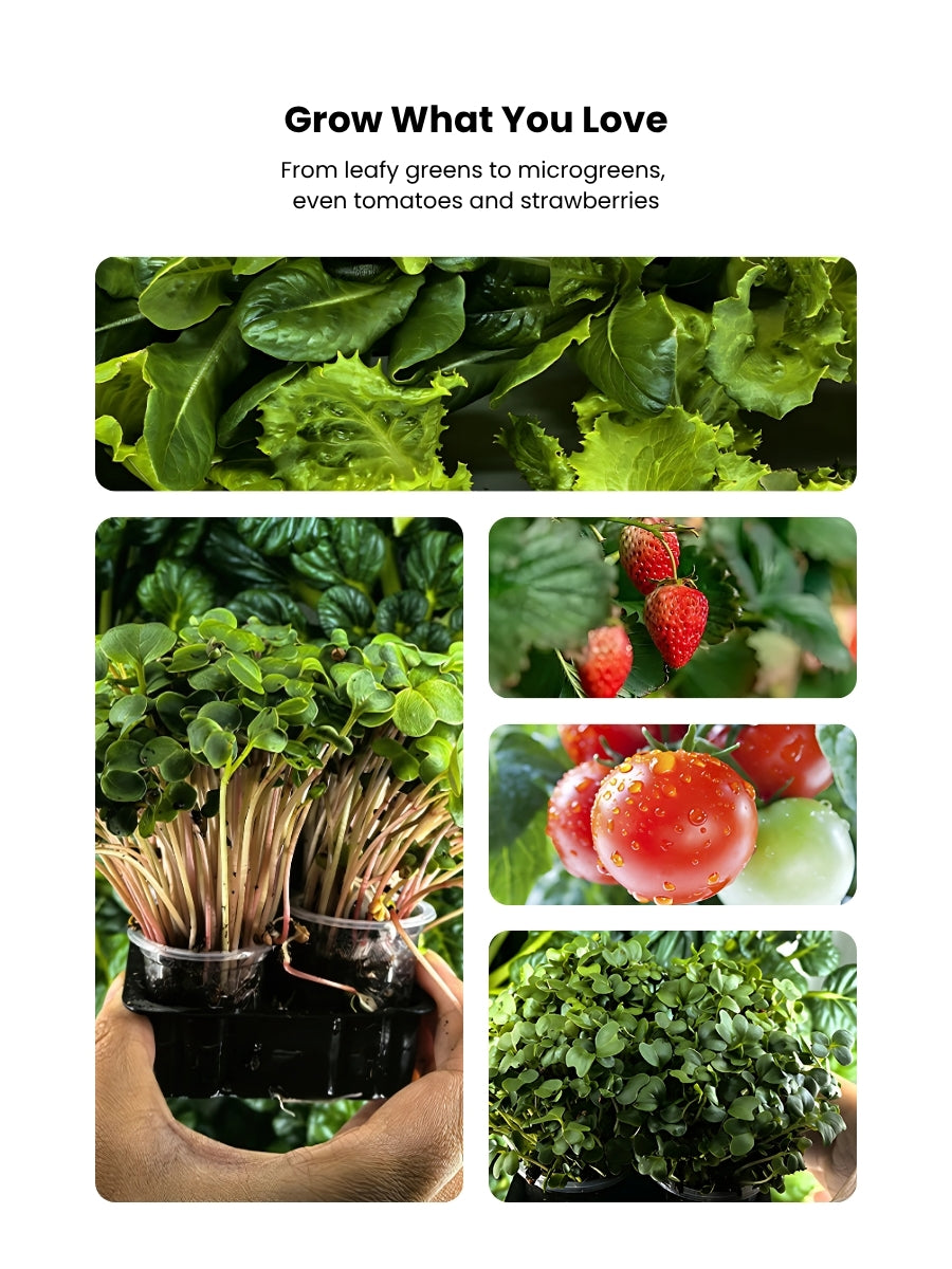 CubicTree Micro Farm – Smart Indoor Vertical Garden for Fresh, Pesticide-Free Veggies