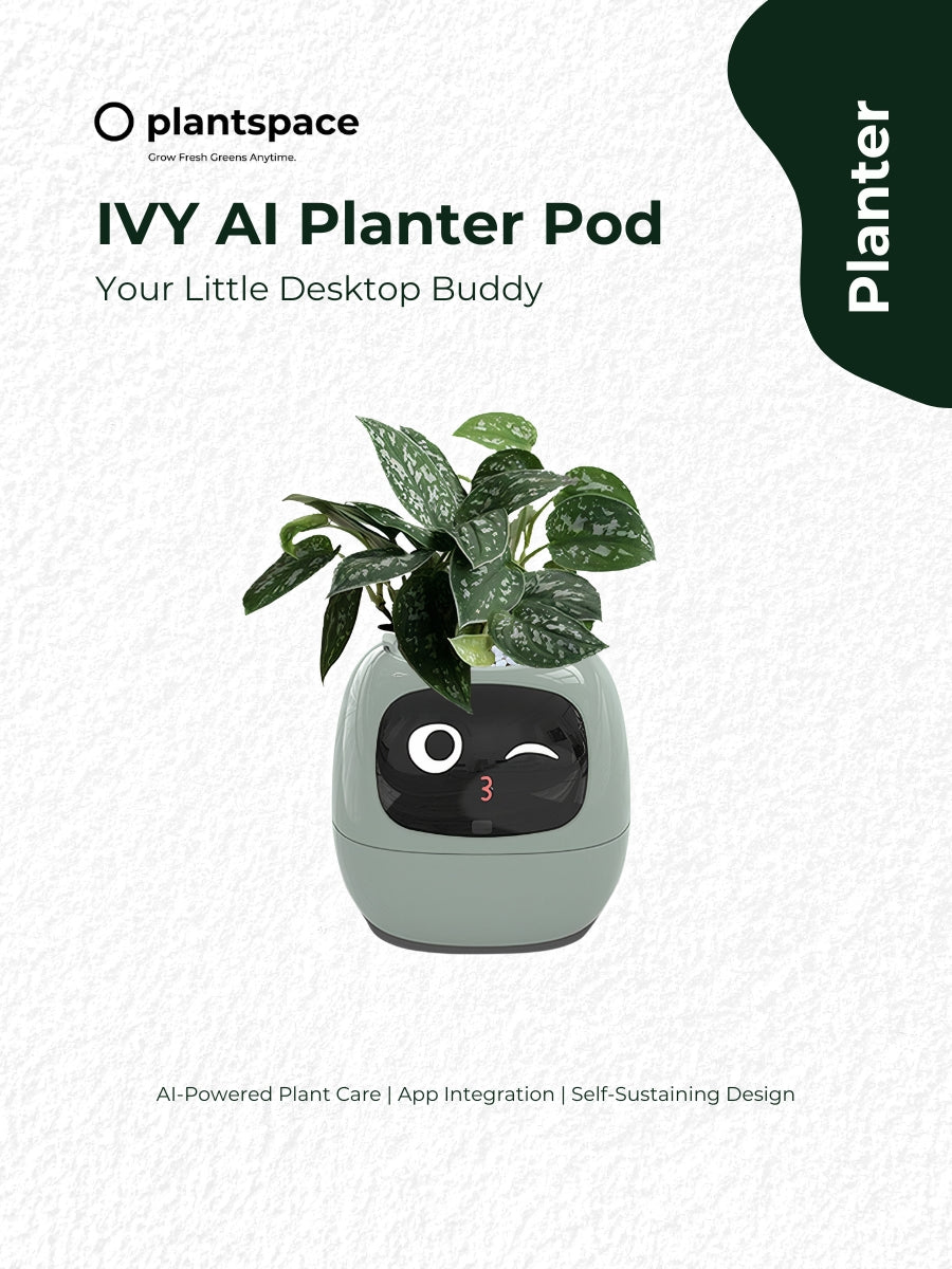 PlantSpace Smart Ivy Planter – AI-Powered Self-Watering Planter with App Integration