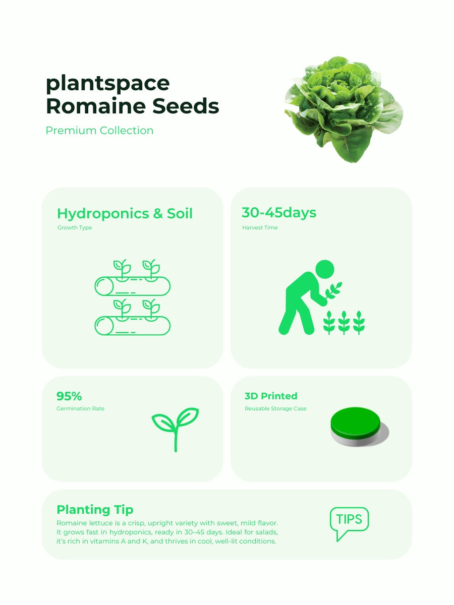 Plantspace Organic Romaine Lettuce Seeds – Crisp, Non-GMO | Ideal for Salads, Hydroponics & Raised Beds