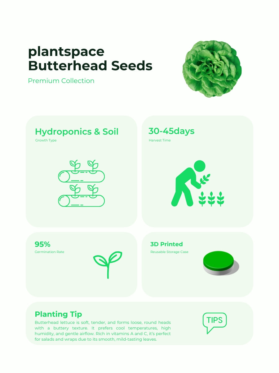 Plantspace Organic Butterhead Lettuce Seeds – Tender, Non-GMO | Perfect for Containers & Hydroponic Gardens