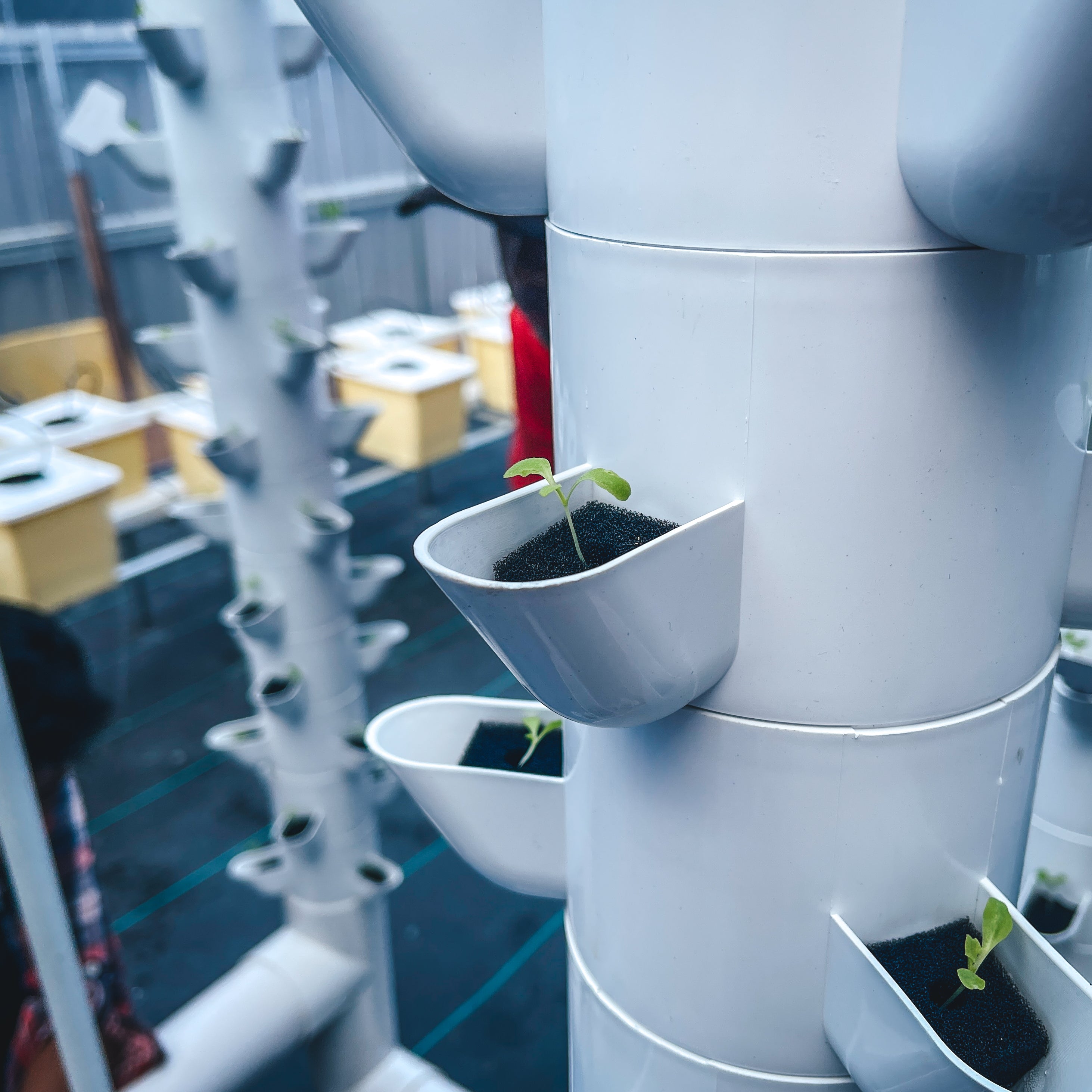 Modular Vertical Tower Hydroponics System (Pre-Order) - Space-Saving, Eco-Friendly & High-Yield Solution for Urban Farming