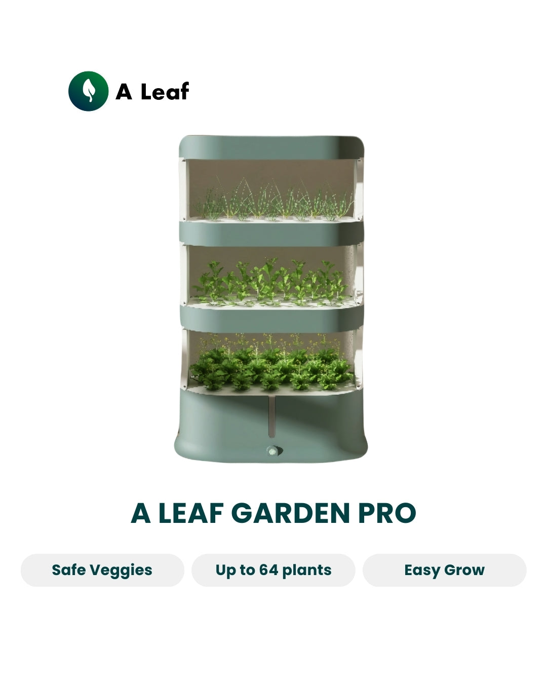 A Leaf Garden Pro Stock Clearance Sale