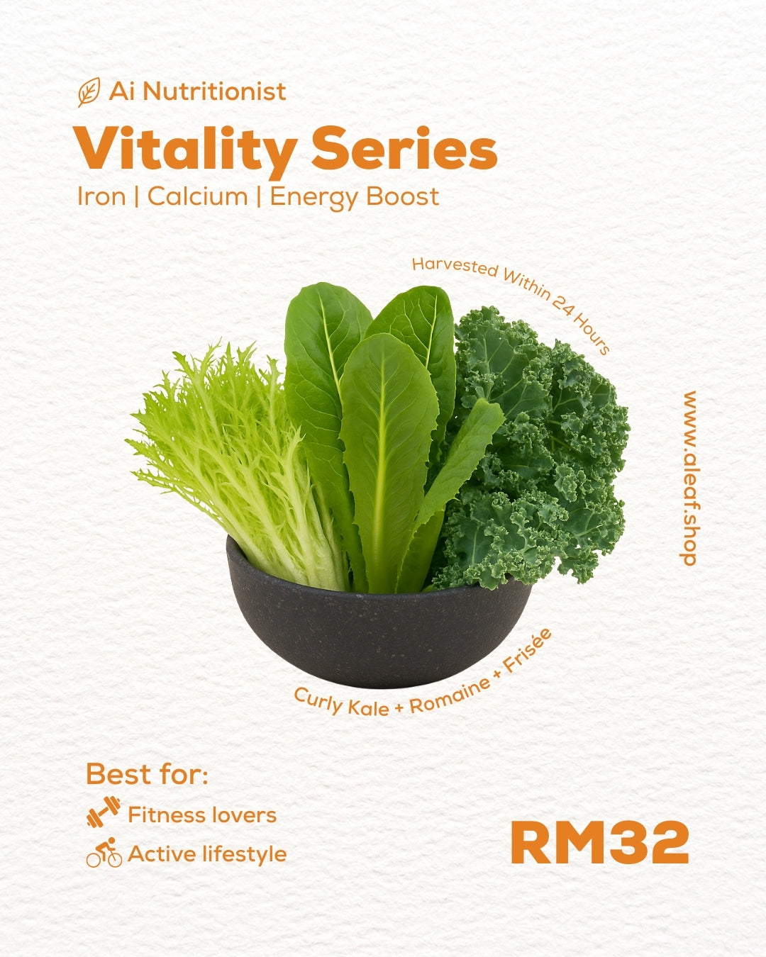 Vitality Series – Energy Boosting Kale & Lettuce Mix (Curly Kale, Romaine, Frisée)